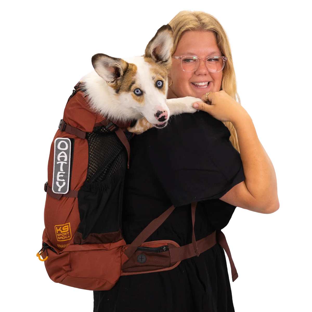 Trailblazer: Premium Dog Products for Active Adventurous Pups - Bellhaven & Co.