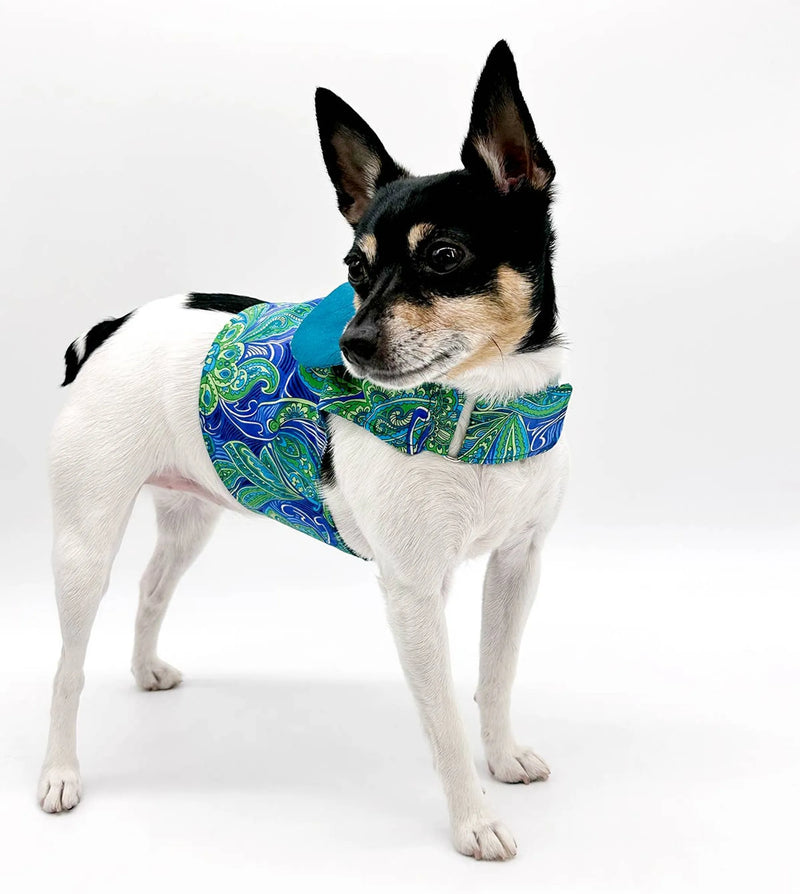 Everyday Elegant Dog Clothes and Toys: Elevate Your Pet’s Style - Bellhaven & Co.