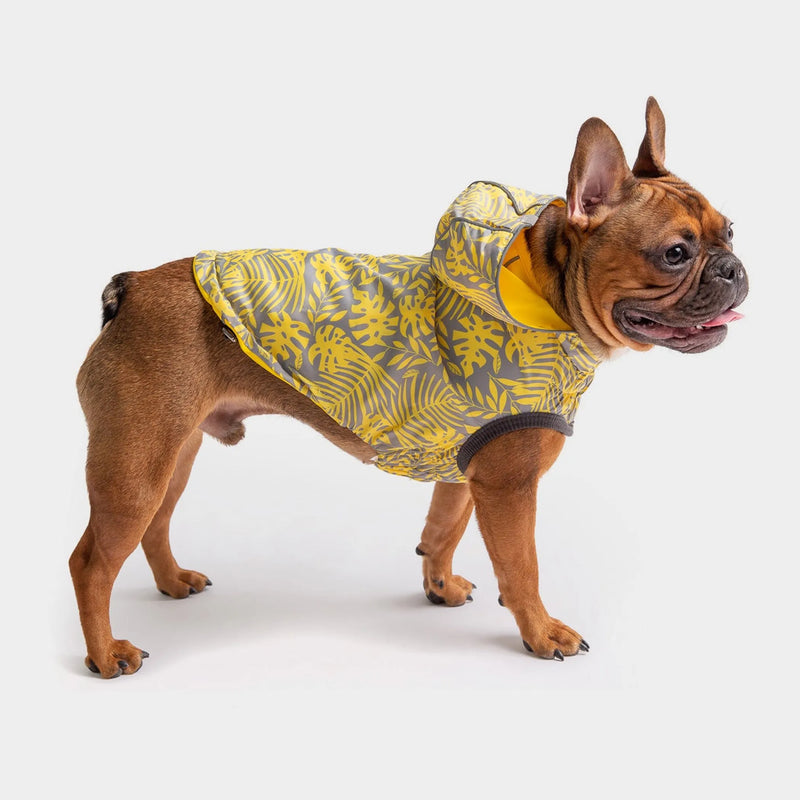Daily Wear: Premium Pet Clothes, Collars, and Harnesses - Bellhaven & Co.