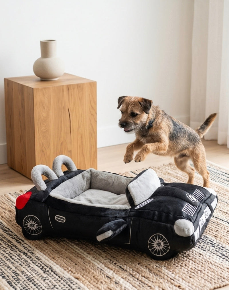 Ultimate Comfort with Our Dog Beds and Carriers Collection - Bellhaven & Co.