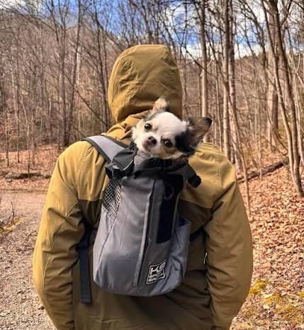 Trailhead: Premium Travel Gear for You and Your Pet - Bellhaven & Co.