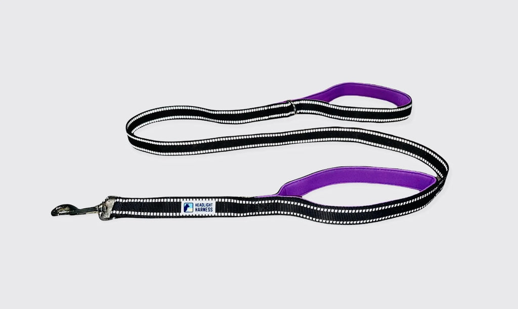 Headlight Harness Double Handle Reflective Leash - Bellhaven & Co.