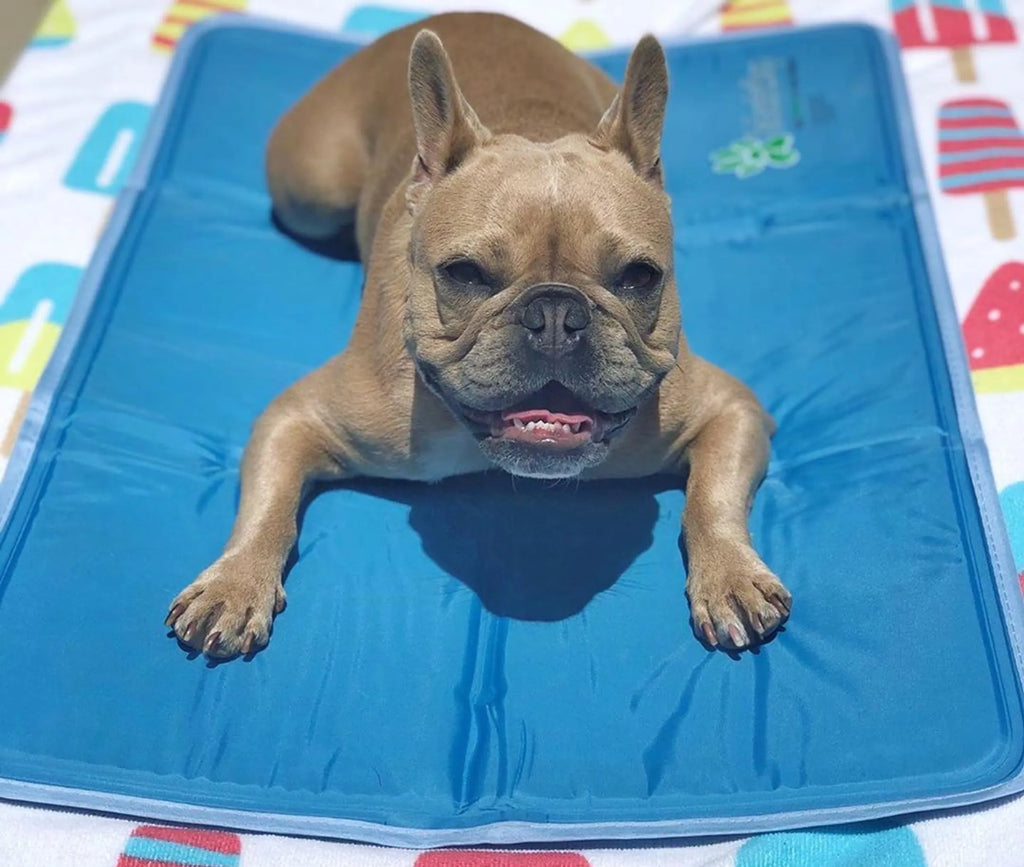 The Award Winning Cool Pet Pad for Pets - Bellhaven & Co.