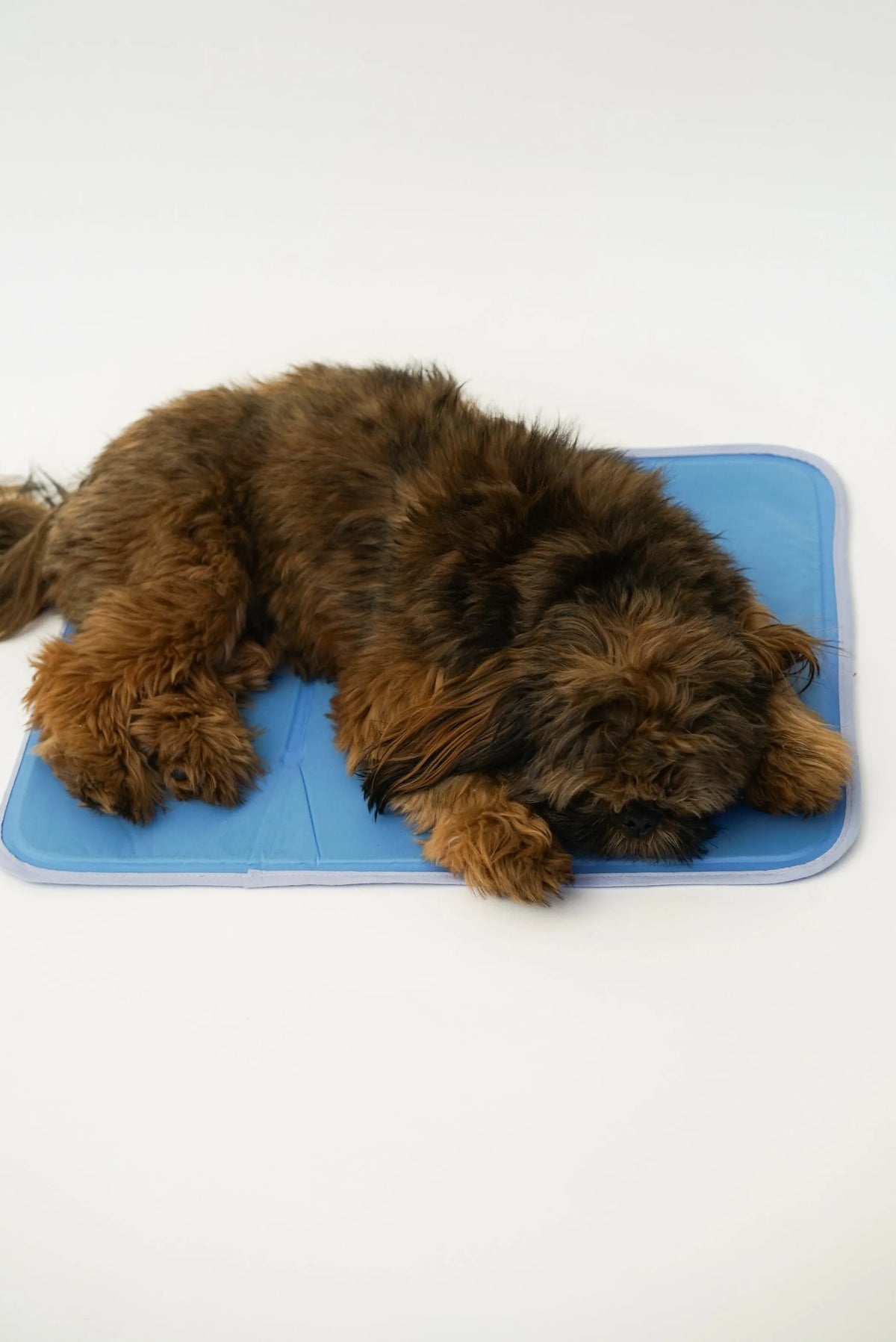 The Award Winning Cool Pet Pad for Pets - Bellhaven & Co.