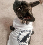 Pawsace Tee - Bellhaven & Co.