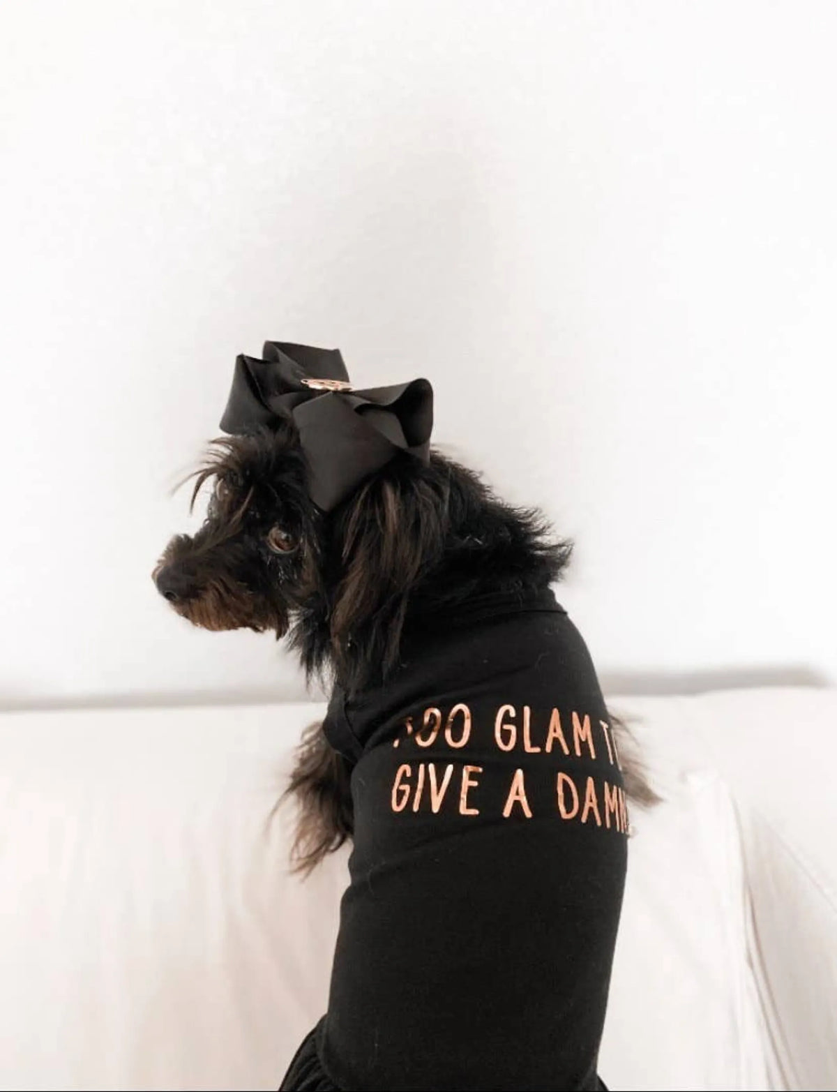 Too Glam to Give a Damn Dress or Tee for Your Pampered Pooch - Bellhaven & Co.