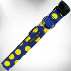 Polka Dot Dog Collars - Bellhaven & Co.