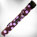 Polka Dot Dog Collars - Bellhaven & Co.