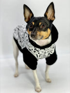 DCNY Iconic "Pup Art" Designer Dog Hoodie Xs-Medium - Bellhaven & Co.