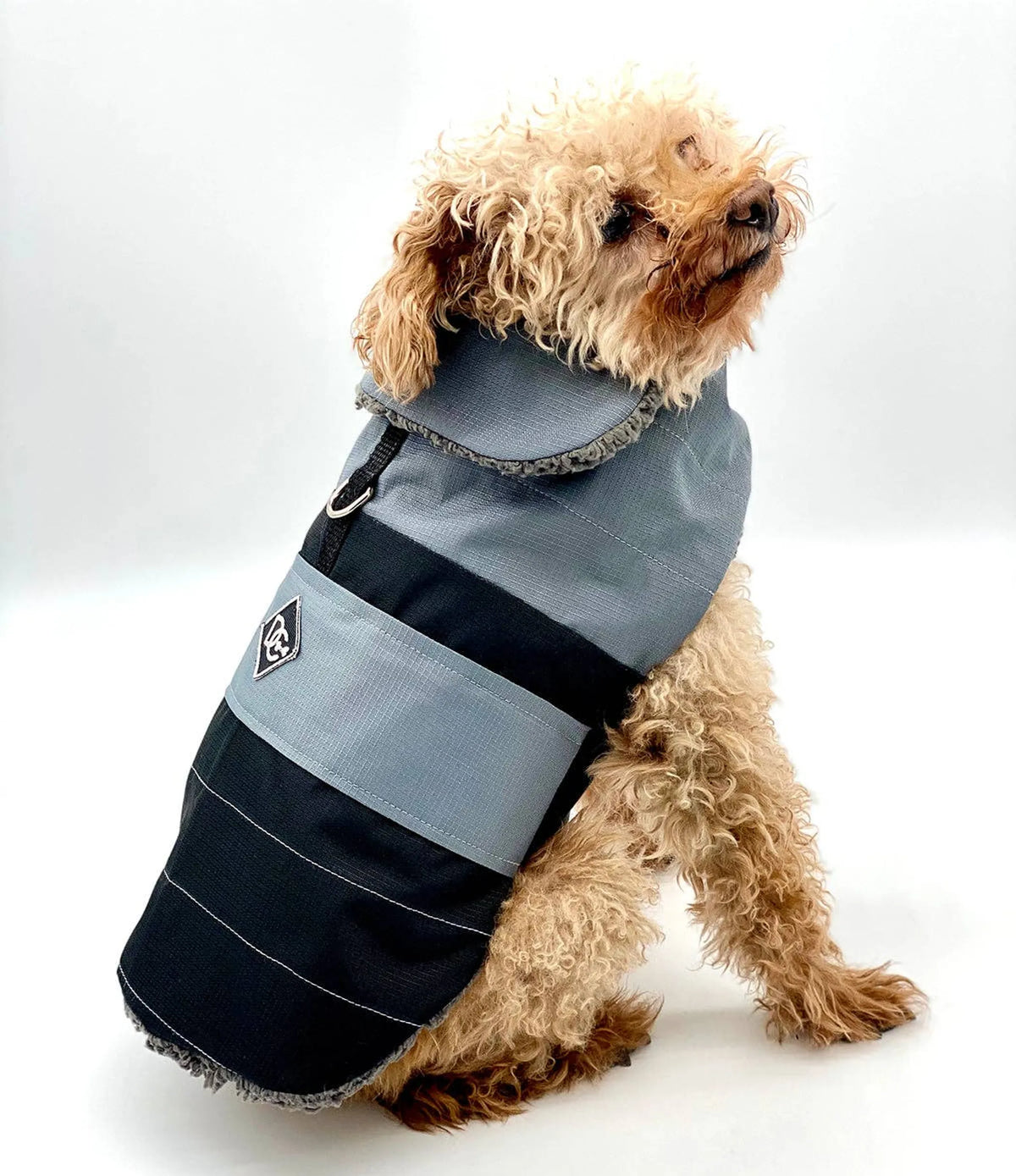 DoggieCoutureNY Water Resistant Coat - Bellhaven & Co.