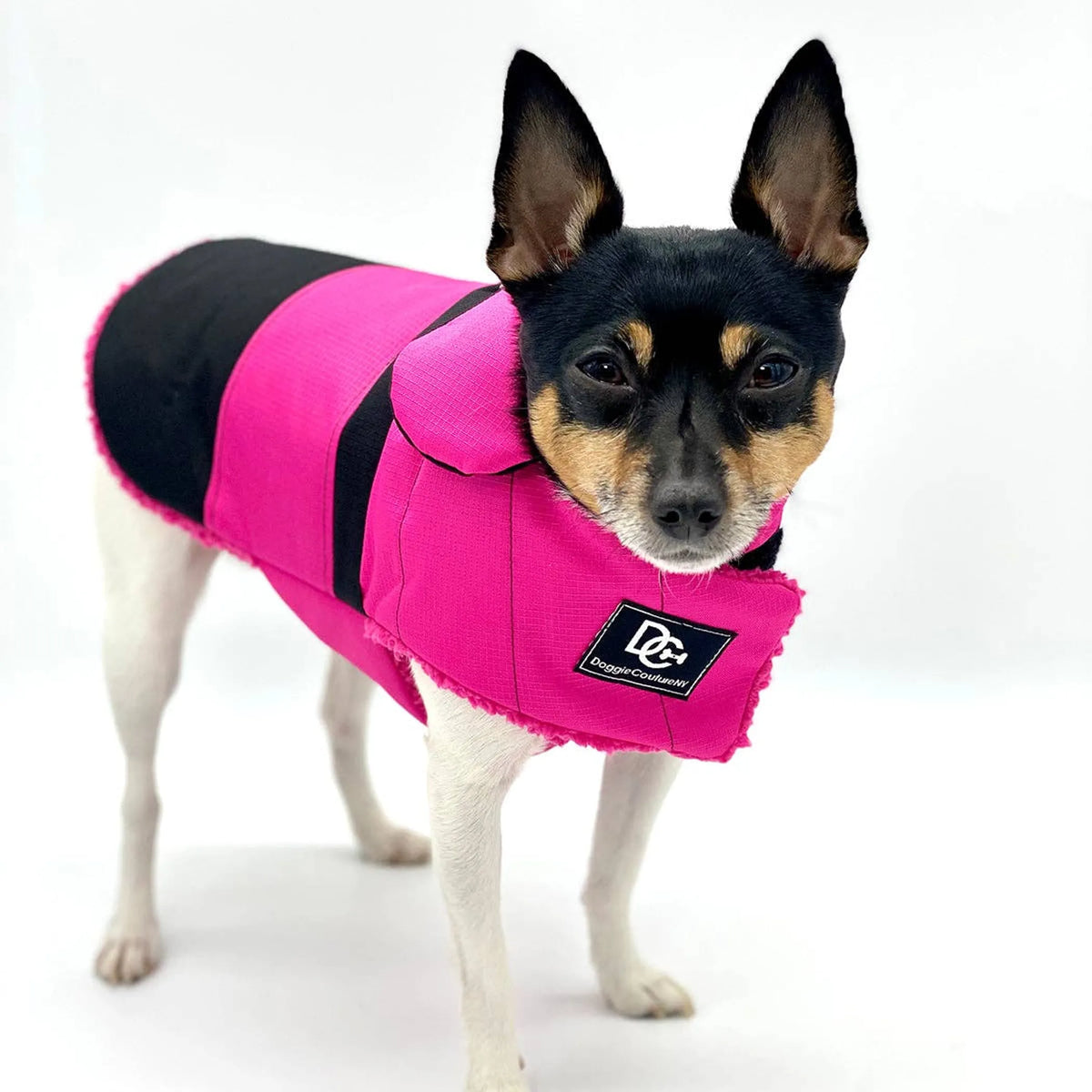 DoggieCoutureNY Water Resistant Coat - Bellhaven & Co.