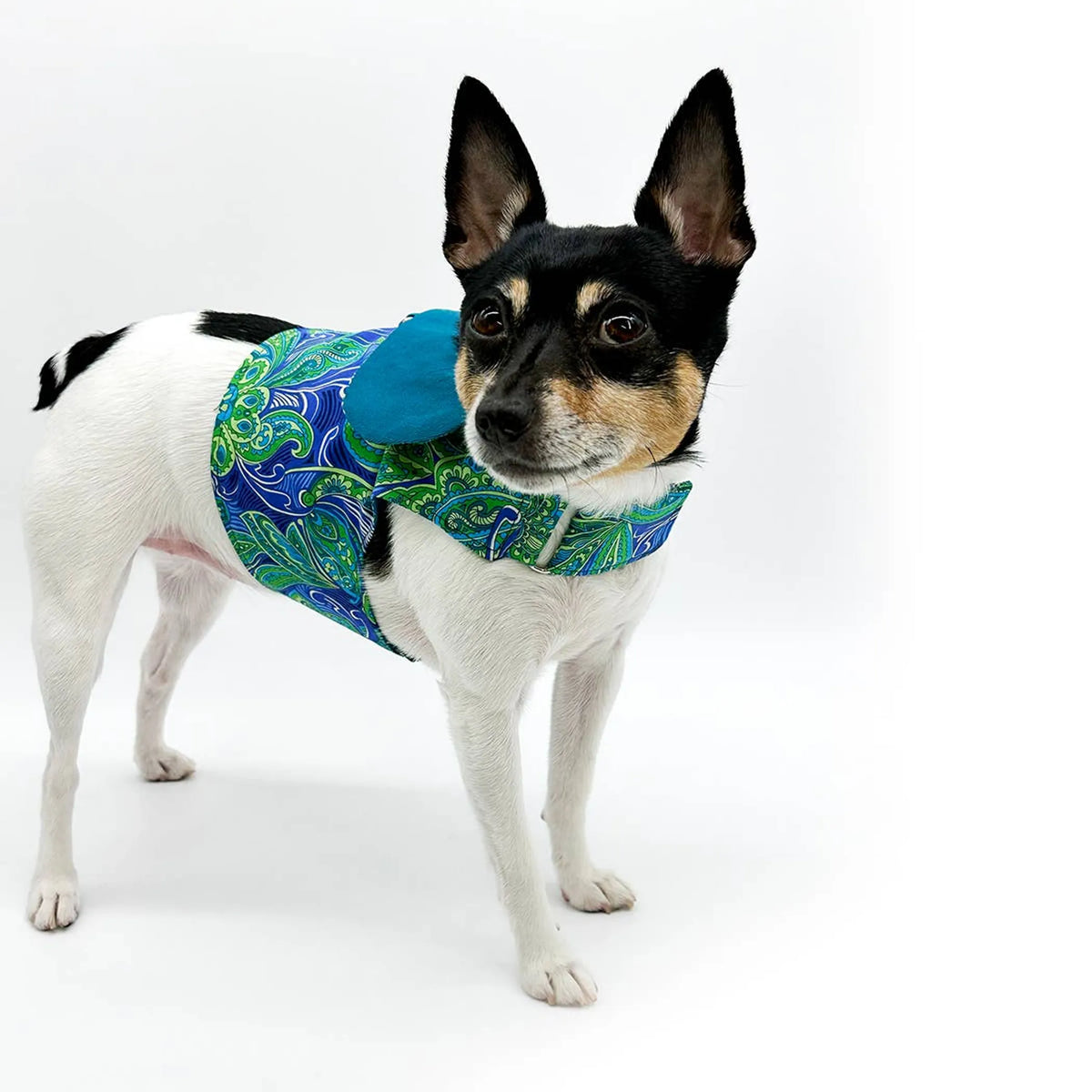 DCNY "Pretty in Paisley" Vest-Style Harness For Small - Medium Dogs - Bellhaven & Co.
