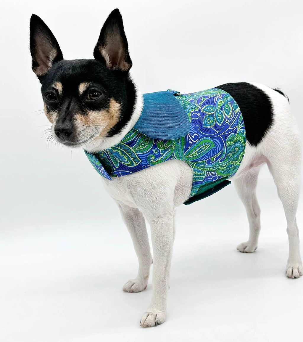 DCNY "Pretty in Paisley" Vest-Style Harness For Small - Medium Dogs - Bellhaven & Co.