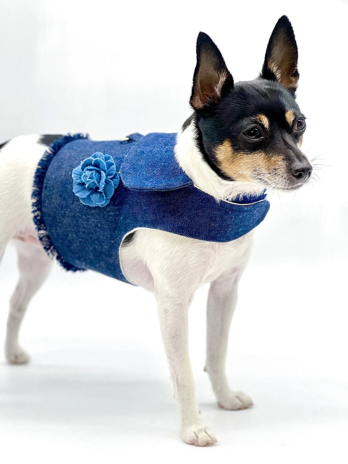 DCNY Harness Vest - Bellhaven & Co.