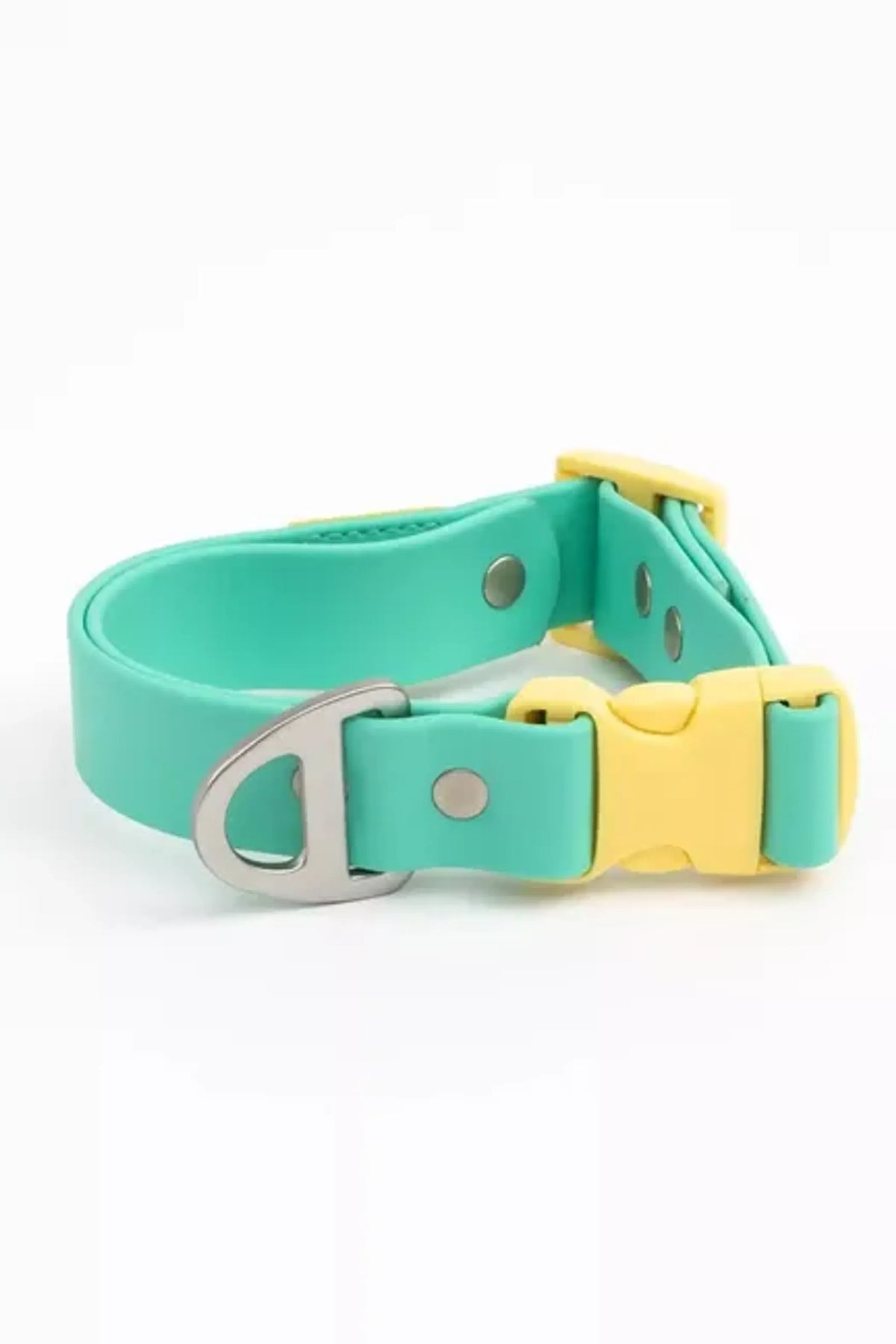 Island Vibes Waterproof Dog Collar - Bellhaven & Co.