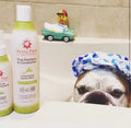 Aroma Paws 4.5 Oz. Dog Coat Spray Lemongrass Vanilla Bean - Bellhaven & Co.