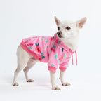Spark Paws Dog Hoodie - Buttery-Soft Sweater Sweatshirt Multiple Color Design Options XS-4XL