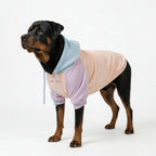 Spark Paws Dog Hoodie - Buttery-Soft Sweater Sweatshirt Multiple Color Design Options XS-4XL