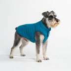 Spark Paws Dog Winter Coat Jacket - Warm Dog Clothes for Small Large Dogs