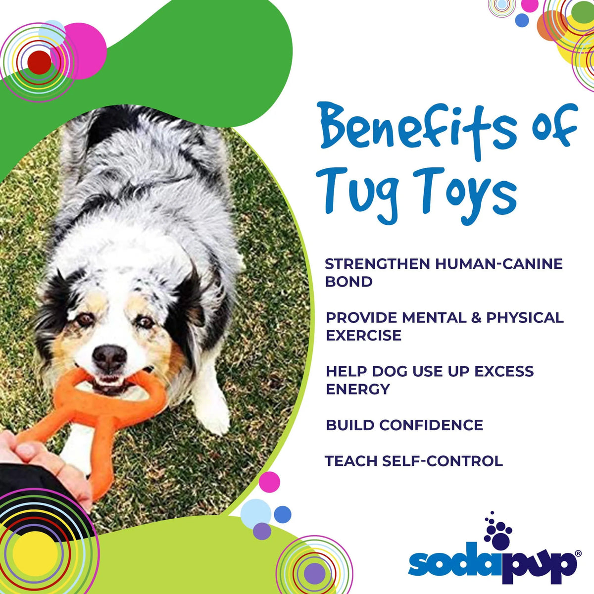 Pop Top Rubber Tug Toy for Interactive Play - Bellhaven & Co.