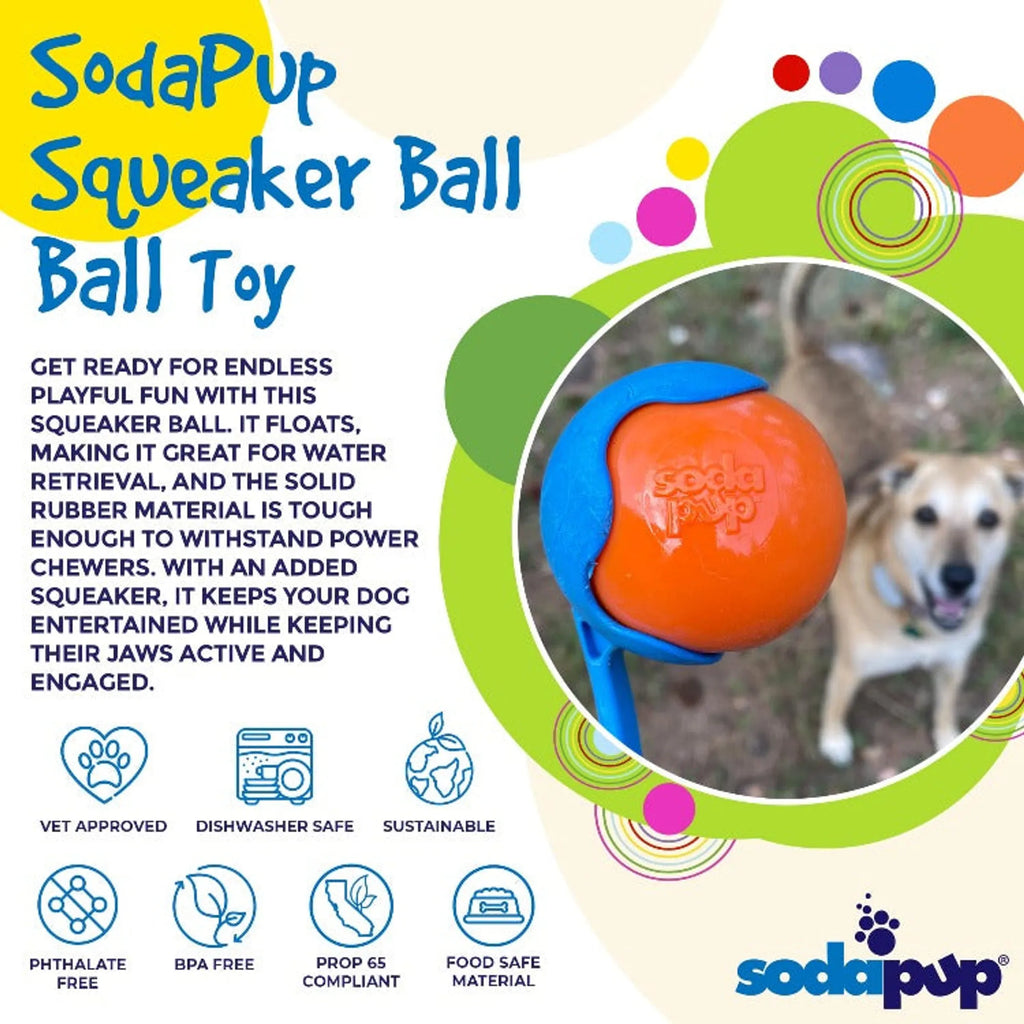 Squeak Ball - Durable Squeaky Dog Toy, Floats, Chew Toy - Bellhaven & Co.