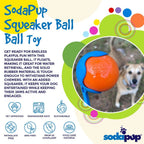Squeak Ball - Durable Squeaky Dog Toy, Floats, Chew Toy - Bellhaven & Co.