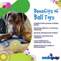 Squeak Ball - Durable Squeaky Dog Toy, Floats, Chew Toy - Bellhaven & Co.
