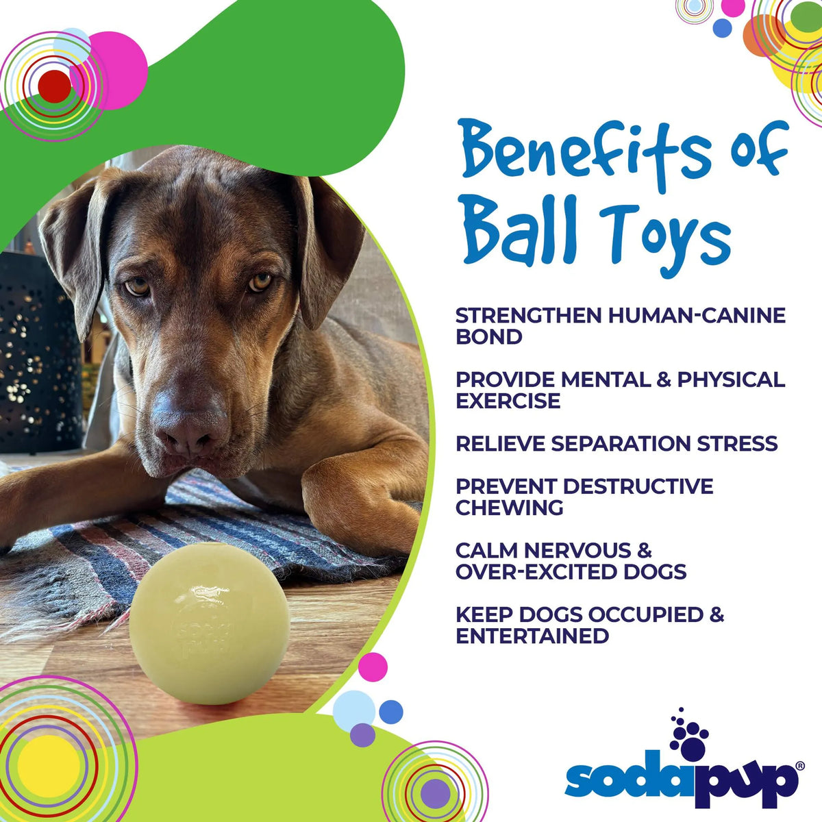 Squeak Ball - Durable Squeaky Dog Toy, Floats, Chew Toy - Bellhaven & Co.