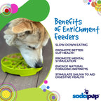 Four Seasons eTray - Shallow Slow Feeder Dog Bowl for Enrichment - Bellhaven & Co.