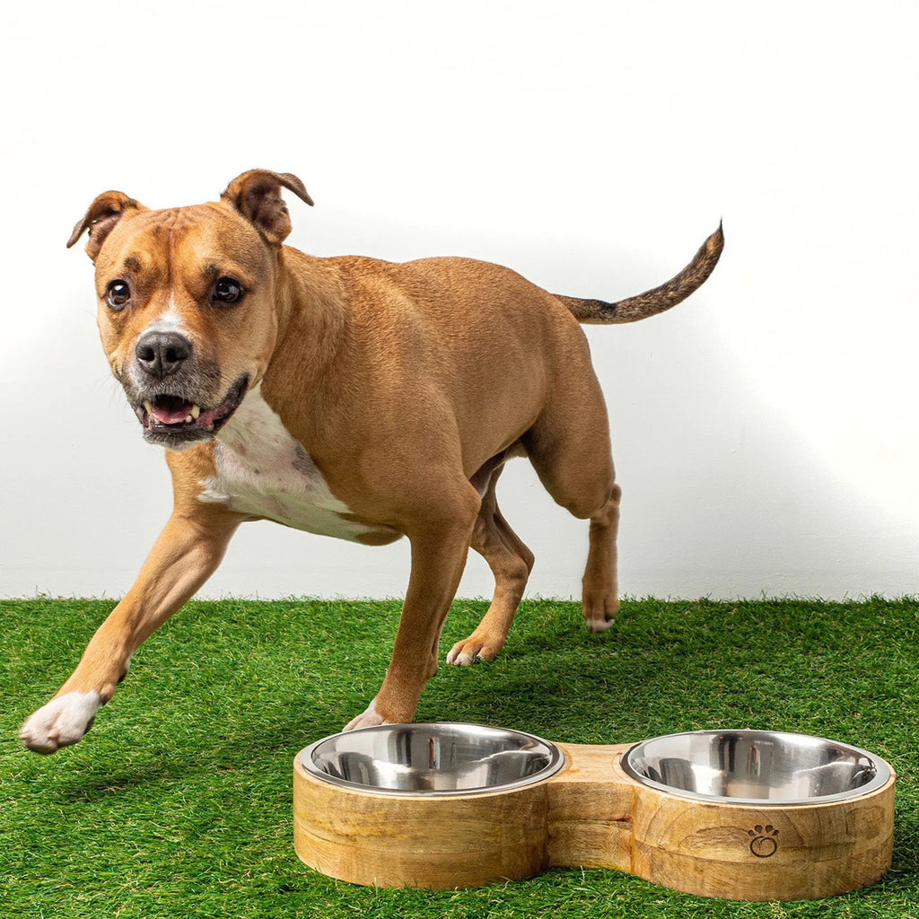 Elegant Pet Wood & Metal Feeder Double Diner for Dogs and Cats - Bellhaven & Co.