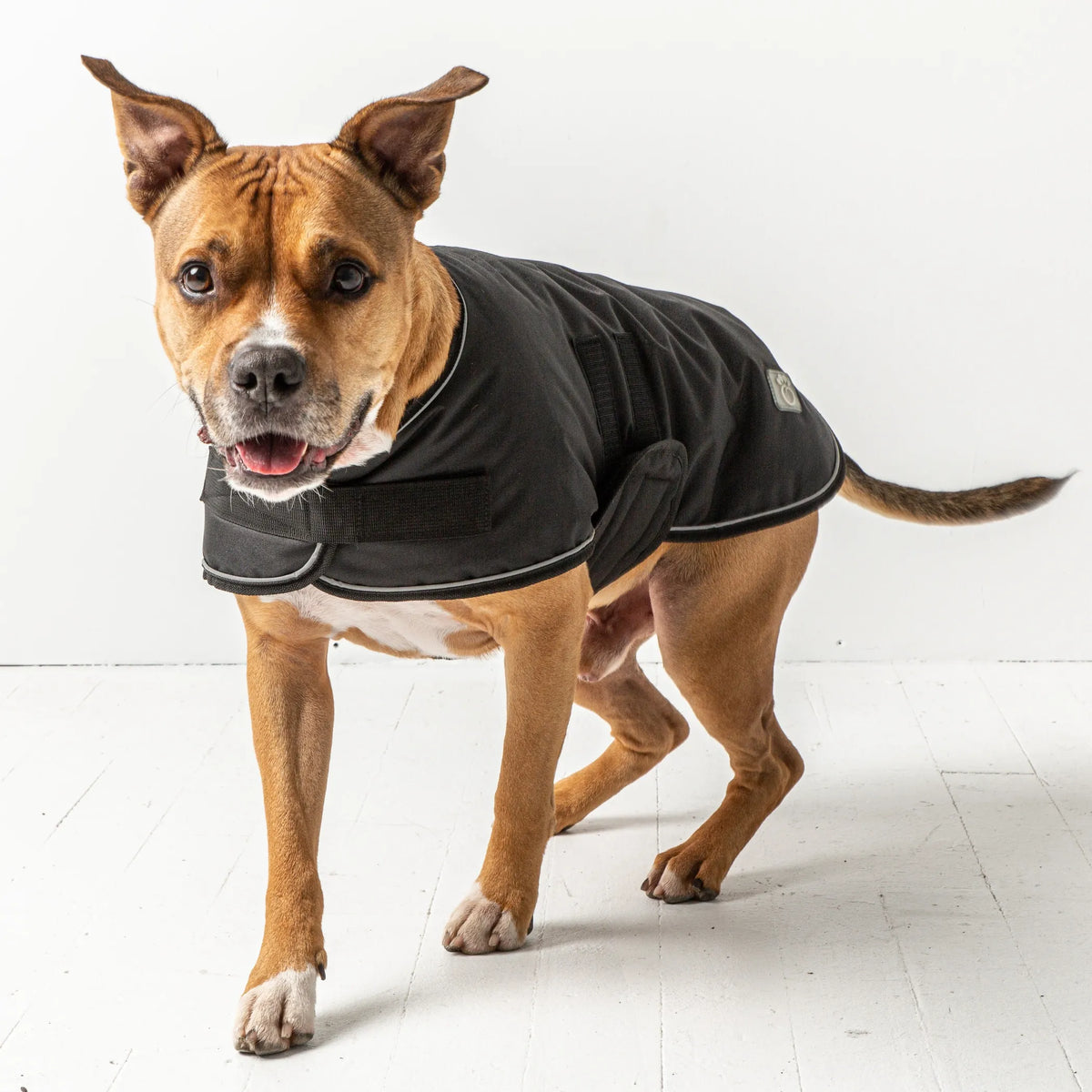 Waterpoof Pet Dog Blanket Jacket with Polar Fleece Lining in S-4XL - Bellhaven & Co.