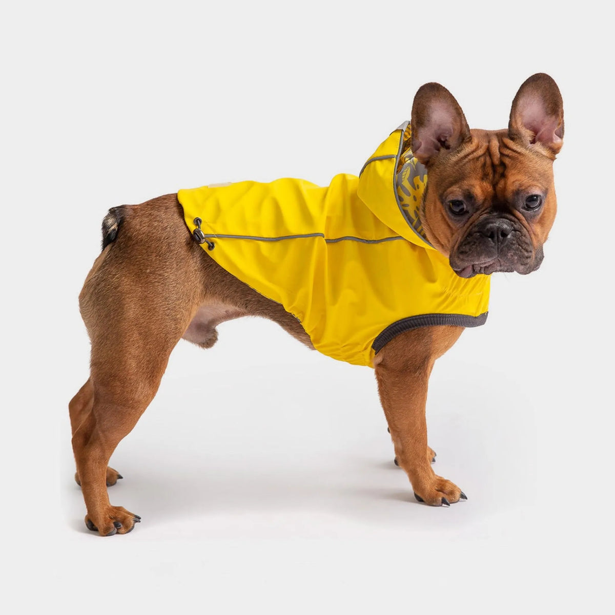 GF Pet Reversible ElastoFit Raincoat - Bellhaven & Co.