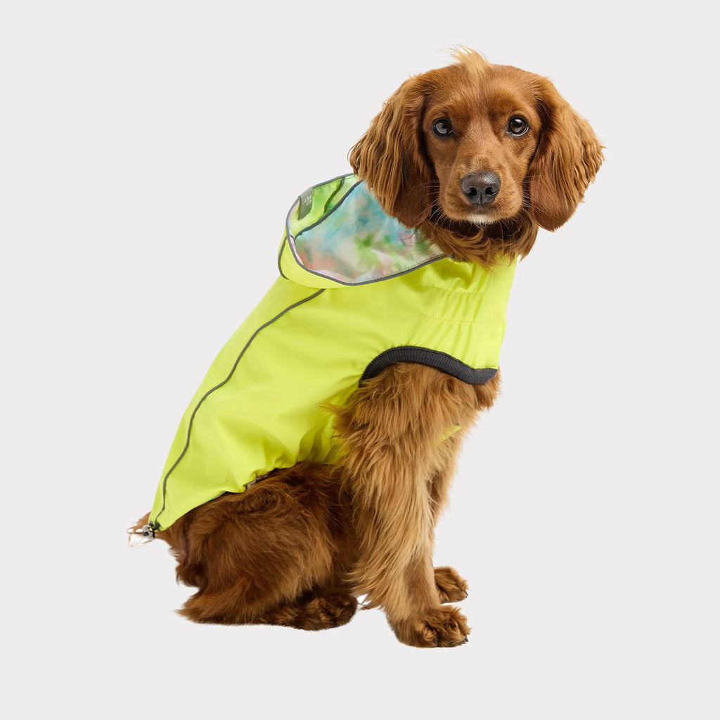 GF Pet Reversible Raincoat - Bellhaven & Co.
