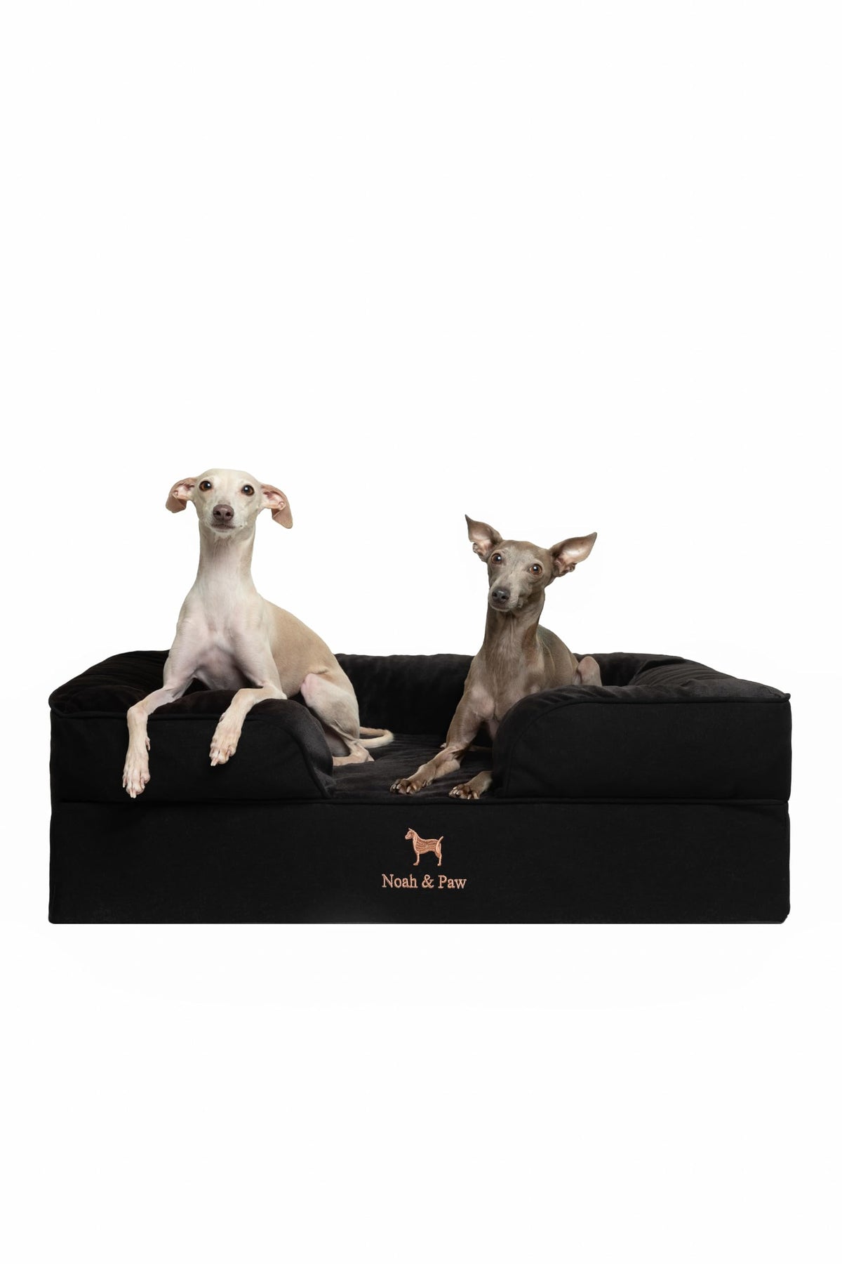 NOAH & PAW Orthopedic Dog Beds Memory Foam Infused with Cooling Gel S-XXL - Bellhaven & Co.