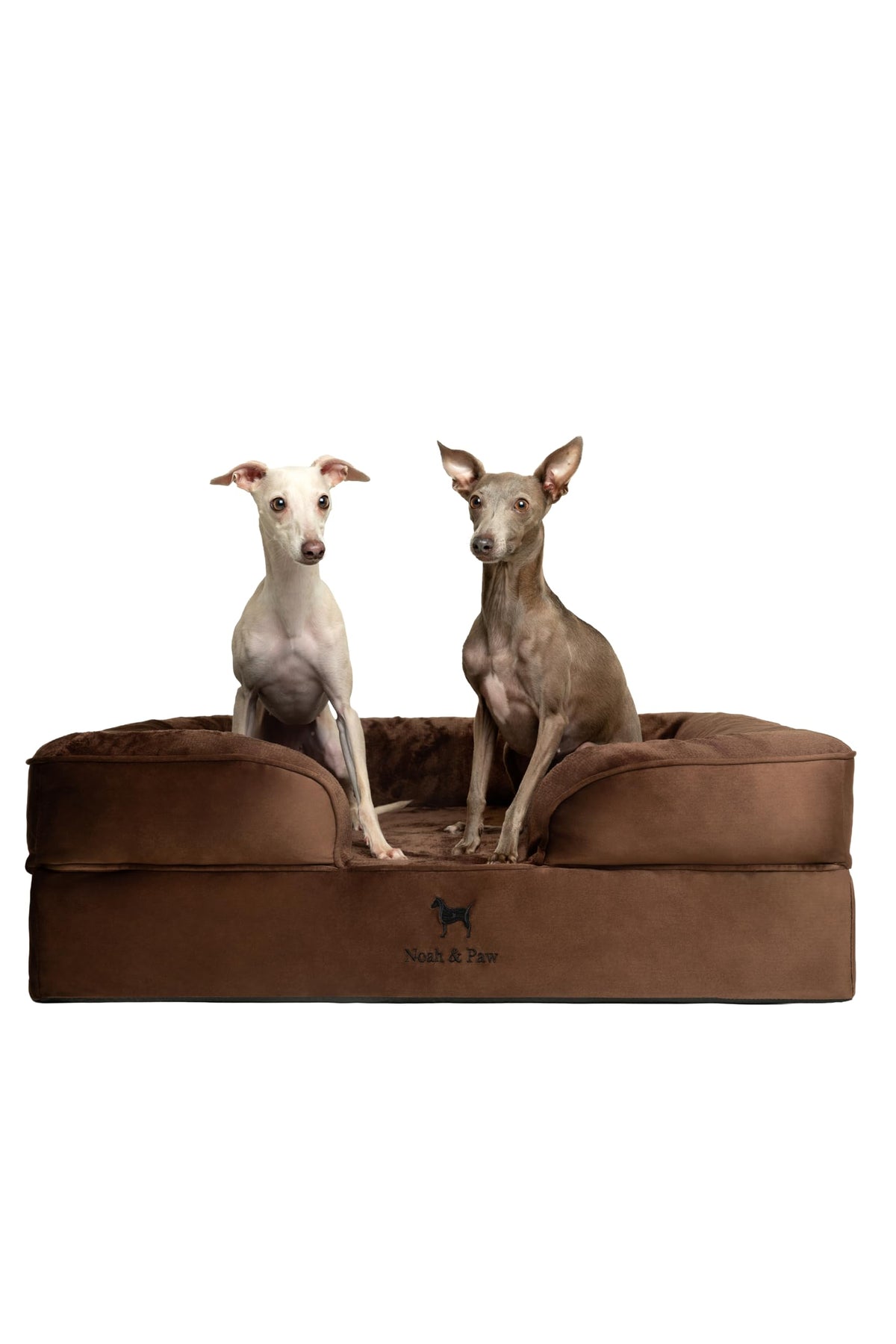 NOAH & PAW Orthopedic Dog Beds Memory Foam Infused with Cooling Gel S-XXL - Bellhaven & Co.