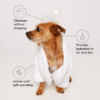 OUAI Fur Bébé Pet Shampoo - Mercer Street Scent (16 Fl oz)
