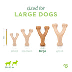 Benebone Wishbone Durable Dog Chew Toy for Aggressive Chewers Single or Double Packs - Bellhaven & Co.