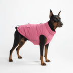 Spark Paws Dog Winter Coat Jacket - Warm Dog Clothes for Small Large Dogs