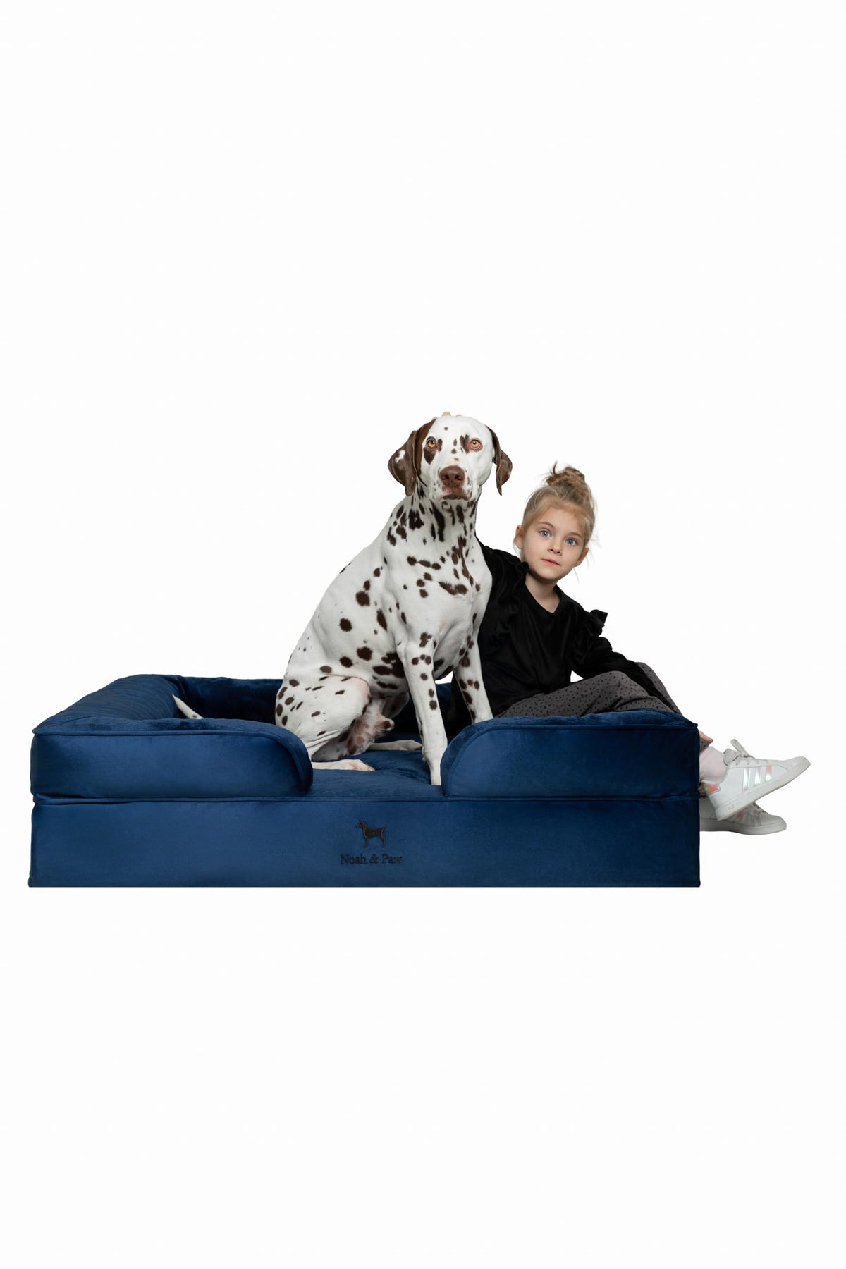 NOAH & PAW Orthopedic Dog Beds Memory Foam Infused with Cooling Gel S-XXL - Bellhaven & Co.