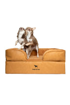 NOAH & PAW Orthopedic Dog Beds Memory Foam Infused with Cooling Gel S-XXL - Bellhaven & Co.