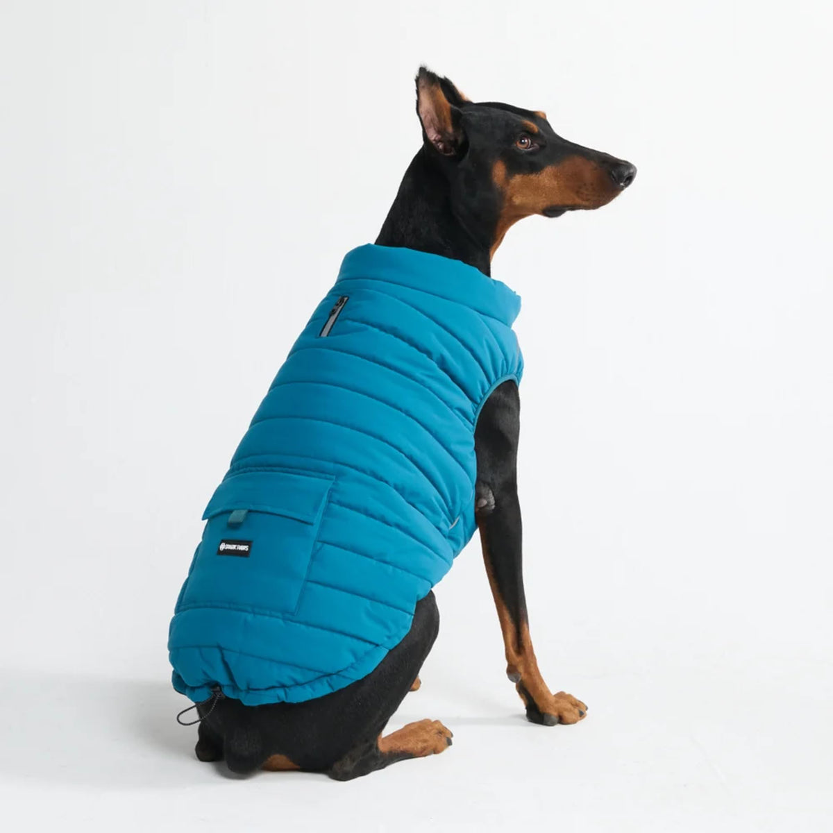 Spark Paws Dog Winter Coat Jacket - Warm Dog Clothes for Small Large Dogs