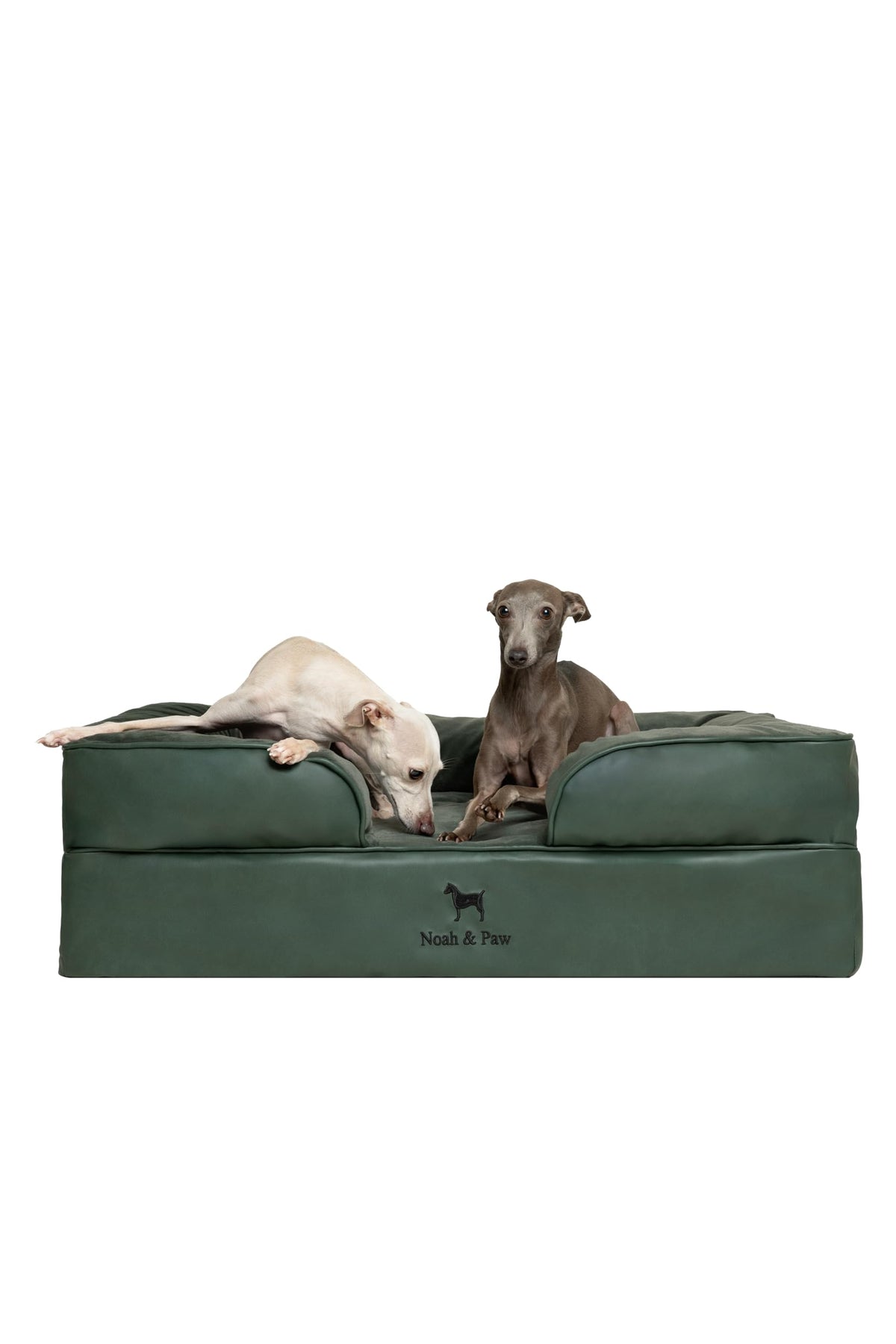 NOAH & PAW Orthopedic Dog Beds Memory Foam Infused with Cooling Gel S-XXL - Bellhaven & Co.