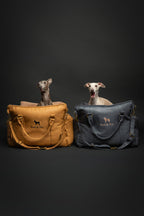 NOAH & PAW Small Dog Car Seat for Small Medium Pets with Harness Clip - Bellhaven & Co.