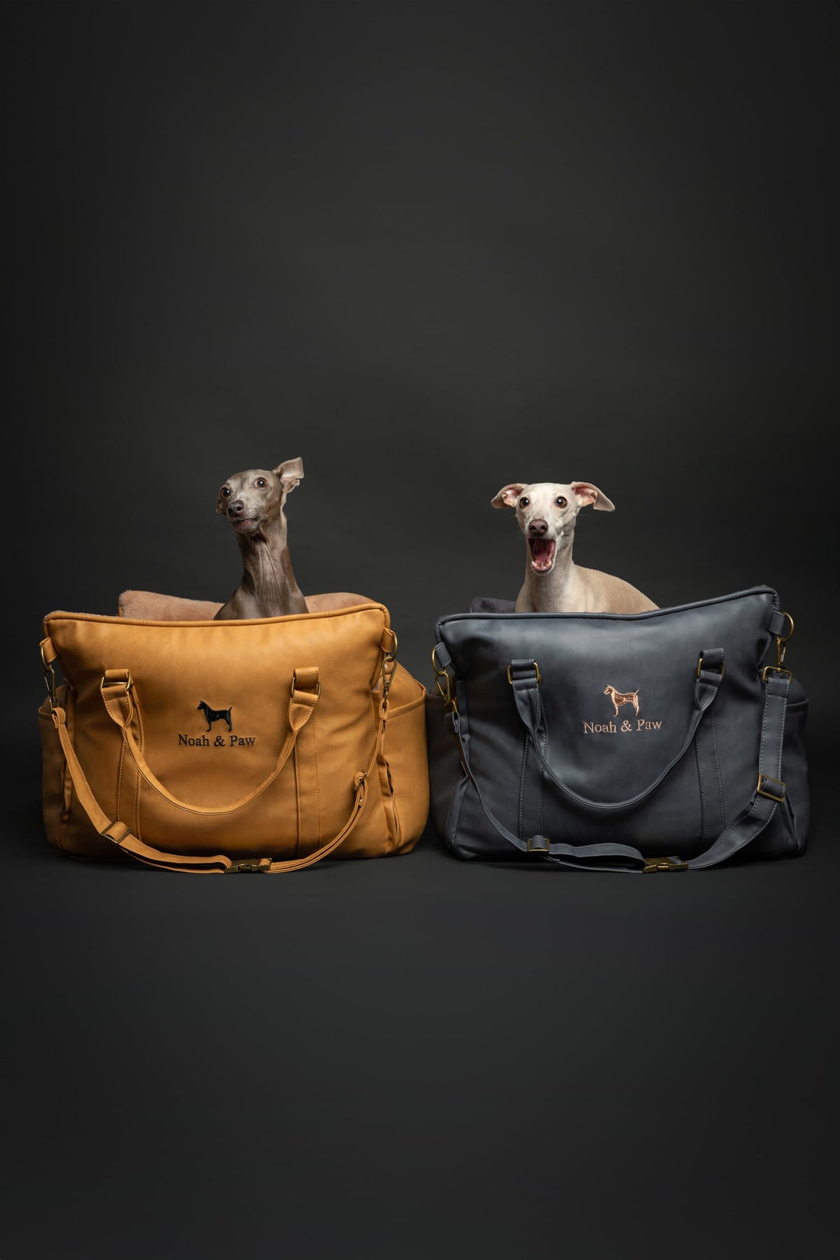 NOAH & PAW Small Dog Car Seat for Small Medium Pets with Harness Clip - Bellhaven & Co.