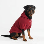 Spark Paws Dog Hoodie - Buttery-Soft Sweater Sweatshirt Multiple Color Design Options XS-4XL