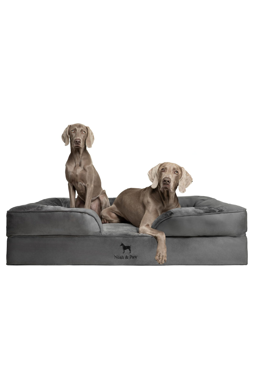 NOAH & PAW Orthopedic Dog Beds Memory Foam Infused with Cooling Gel S-XXL - Bellhaven & Co.
