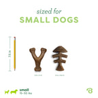 Benebone Medium 4-Pack Dog Toys for Aggressive Chewers - Bellhaven & Co.