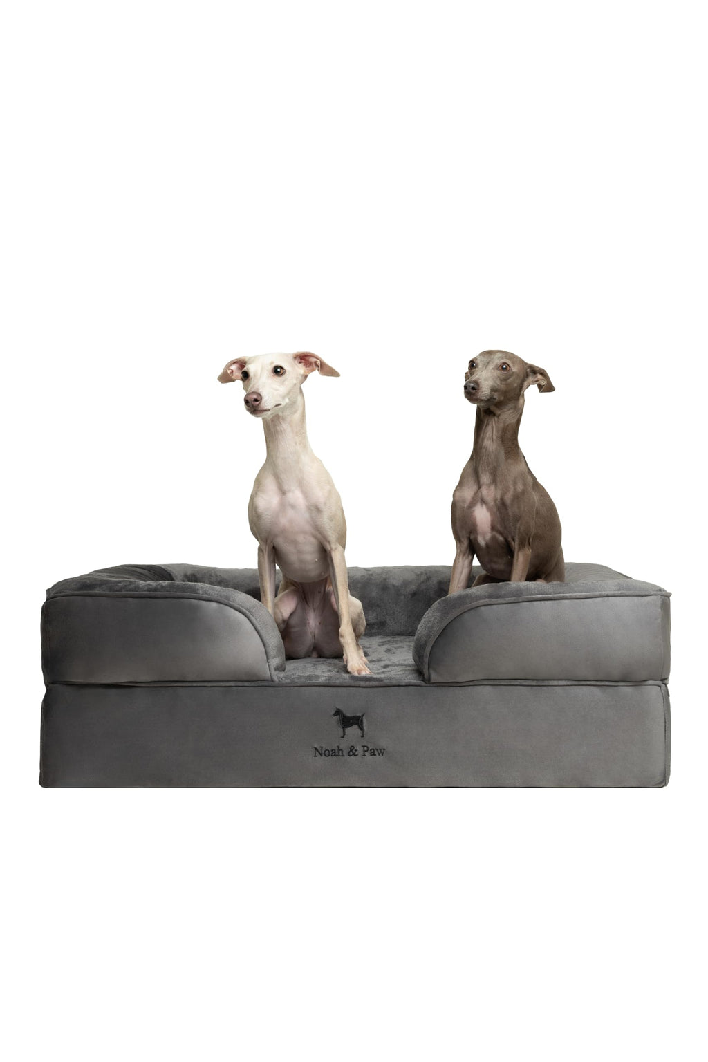 NOAH & PAW Orthopedic Dog Beds Memory Foam Infused with Cooling Gel S-XXL - Bellhaven & Co.