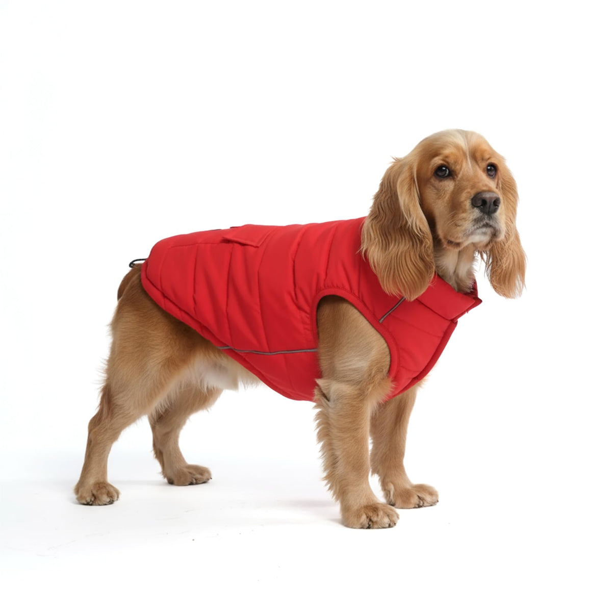 Spark Paws Dog Winter Coat Jacket - Warm Dog Clothes for Small Large Dogs