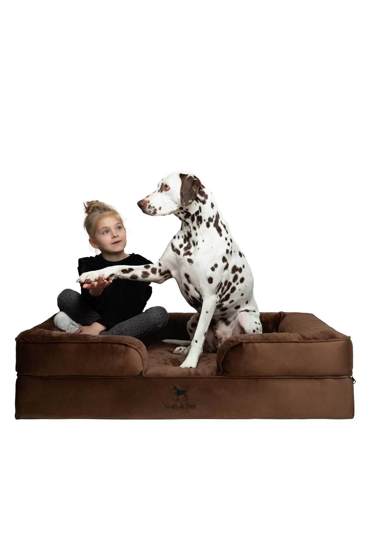 NOAH & PAW Orthopedic Dog Beds Memory Foam Infused with Cooling Gel S-XXL - Bellhaven & Co.
